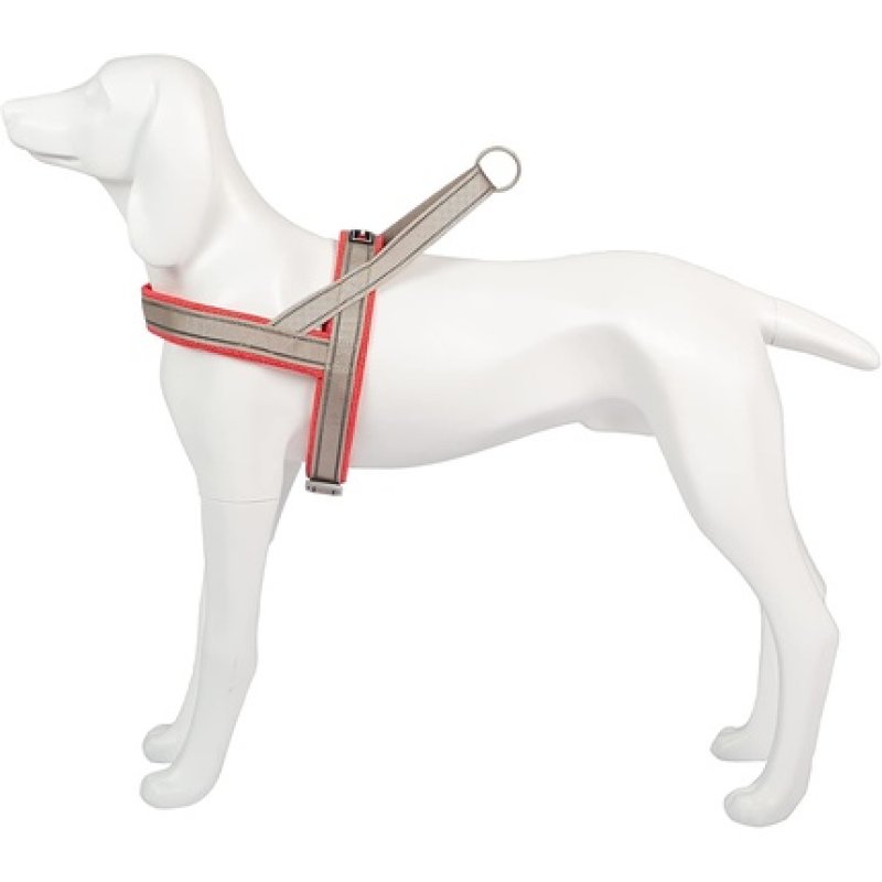 Harness Shiva Sport Red 15mm x 48-56cm T-Xs