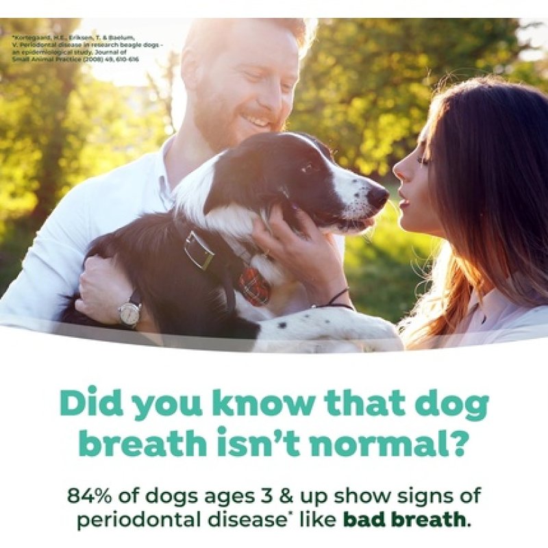 Tropiclean Fresh Breath Dog Teeth Cleaning Foam Dental Care Solution