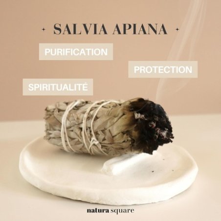 Natura Square White Sage Salvia Apiana from California for Burning