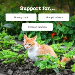 Zesty Paws Cat Urinary & Renal Paste for Urinary Tract Health and Urine pH Balance