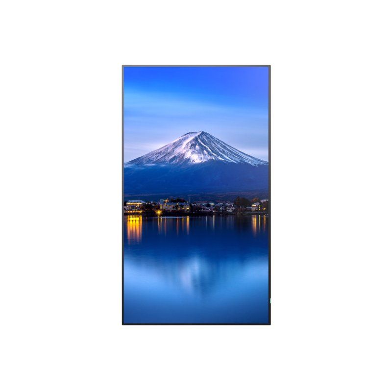 SHARP/NEC MultiSync P656 Kiosk design 163.8 cm (64.5") LCD 700 cd/m² 4K Ultra HD Black Built-in processor