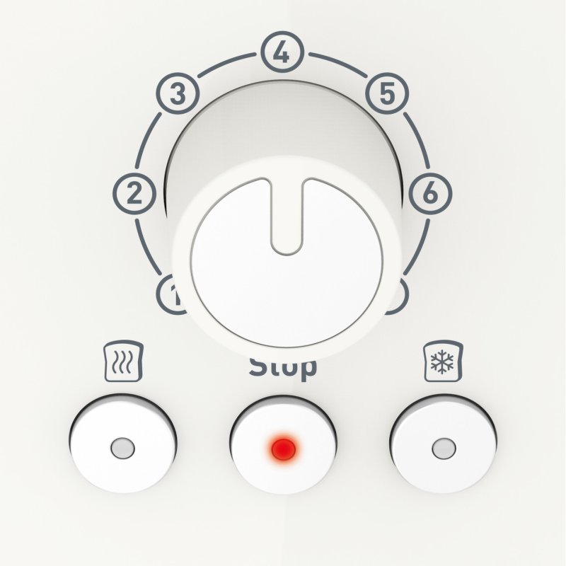 Grill-pain 2 fentes - LT300A10