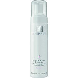 Gentle Foam Cleanser