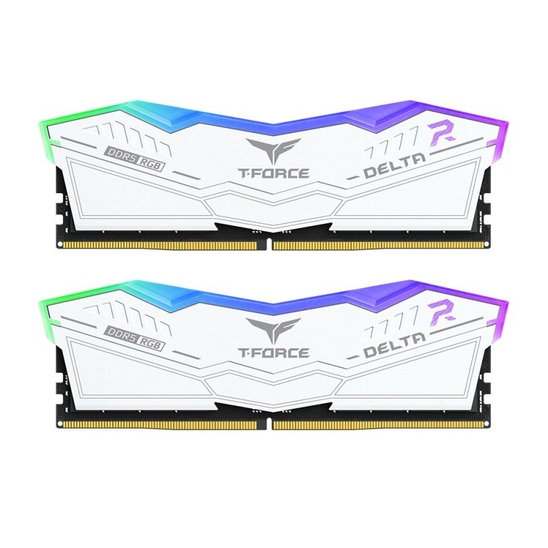 Team Group DELTA RGB DDR5 module de mémoire 48 Go 2 x 24 Go ECC