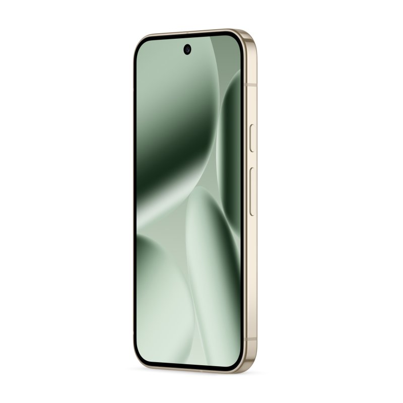 Google Pixel 10 Pro XL 17,3 cm (6.8") Double SIM Android 16.0 5G 16 Go 256 Go 5200 mAh Vert