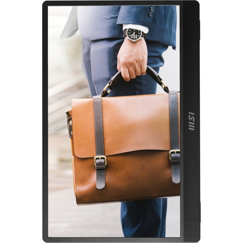 MSI PRO MP161 E2U portable TV/monitor Portable monitor Black 39.6 cm (15.6") LED 1920 x 1080 pixels