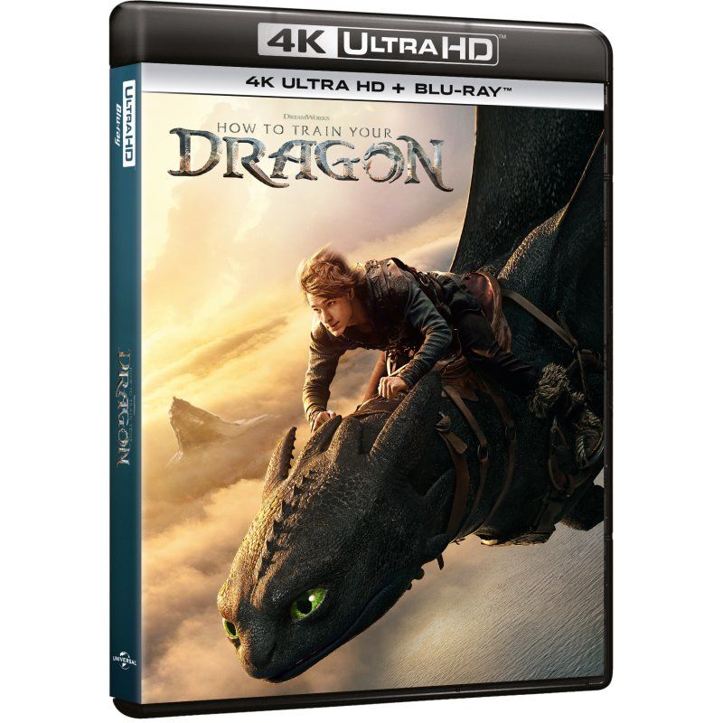 How to Train Your Dragon