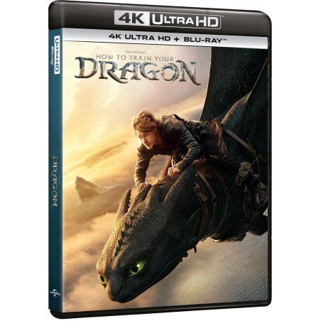 How to Train Your Dragon