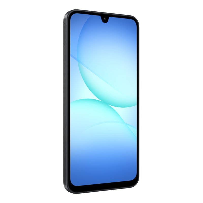 Samsung Galaxy SM-A176BZKDEUB smartphone 17 cm (6.7") Double SIM hybride 5G USB Type-C 8 Go 256 Go 5000 mAh Noir