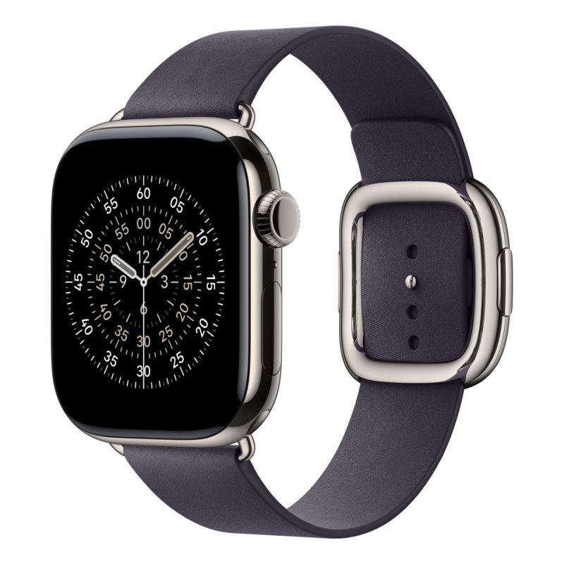 Apple 42mm Midnight Purple Modern Buckle - Large