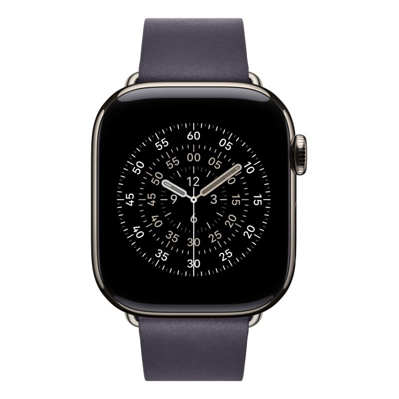 Apple 42mm Midnight Purple Modern Buckle - Large