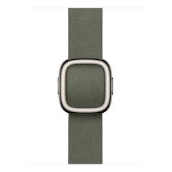 Apple 42mm Sage Grey Modern Buckle - Small