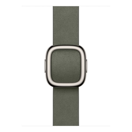 Apple 42mm Sage Grey Modern Buckle - Small