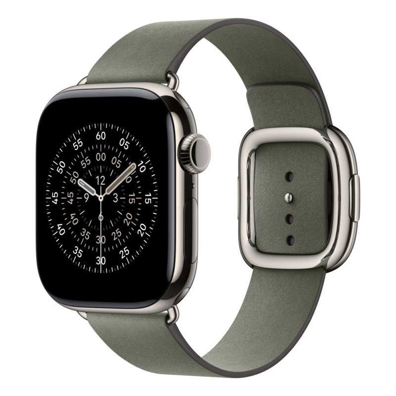 Apple 42mm Sage Grey Modern Buckle - Small
