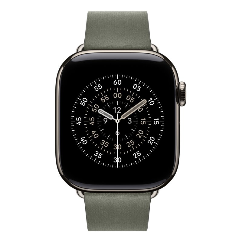 Apple Watch 42 Sage Gray Mb S