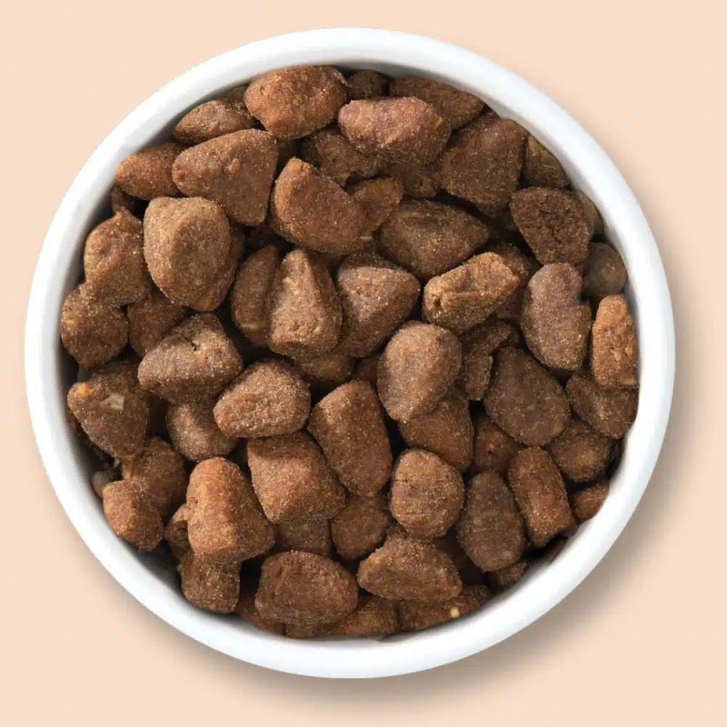 Catit 44506 cats dry food 2 kg Adult Poultry