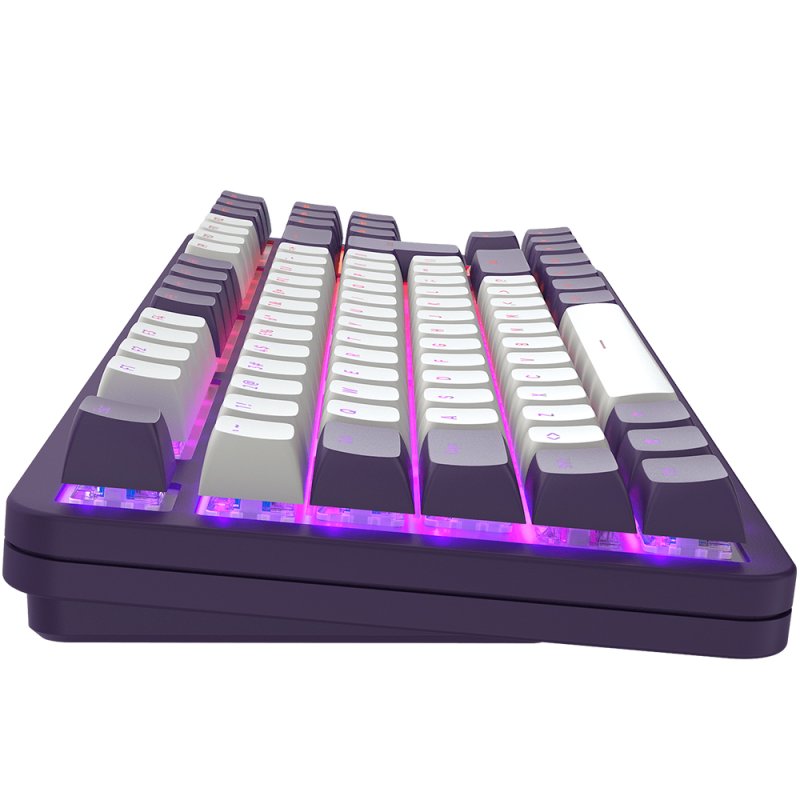 Dark Project DPKB_VIOLET_ 87_ISO clavier Gaming USB QWERTZ Danois, Anglais, Finlandais, Allemand, Italien, Nordique,