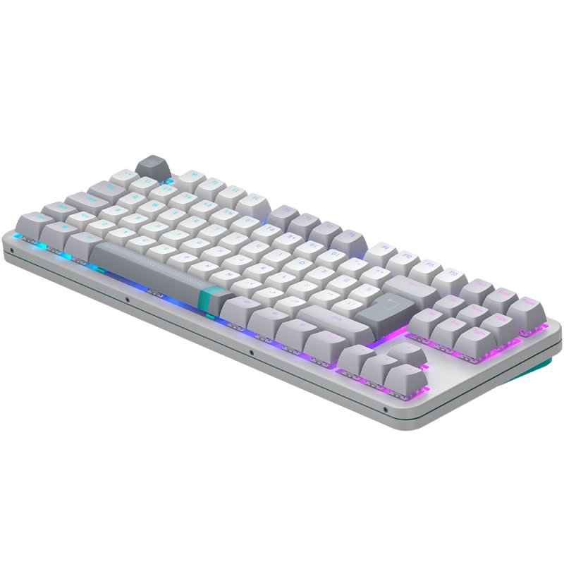 Dark Project DPKB_DAYLIGHT_87_ISO clavier Gaming USB Danois, Anglais, Finlandais, Allemand, Italien, Nordique,
