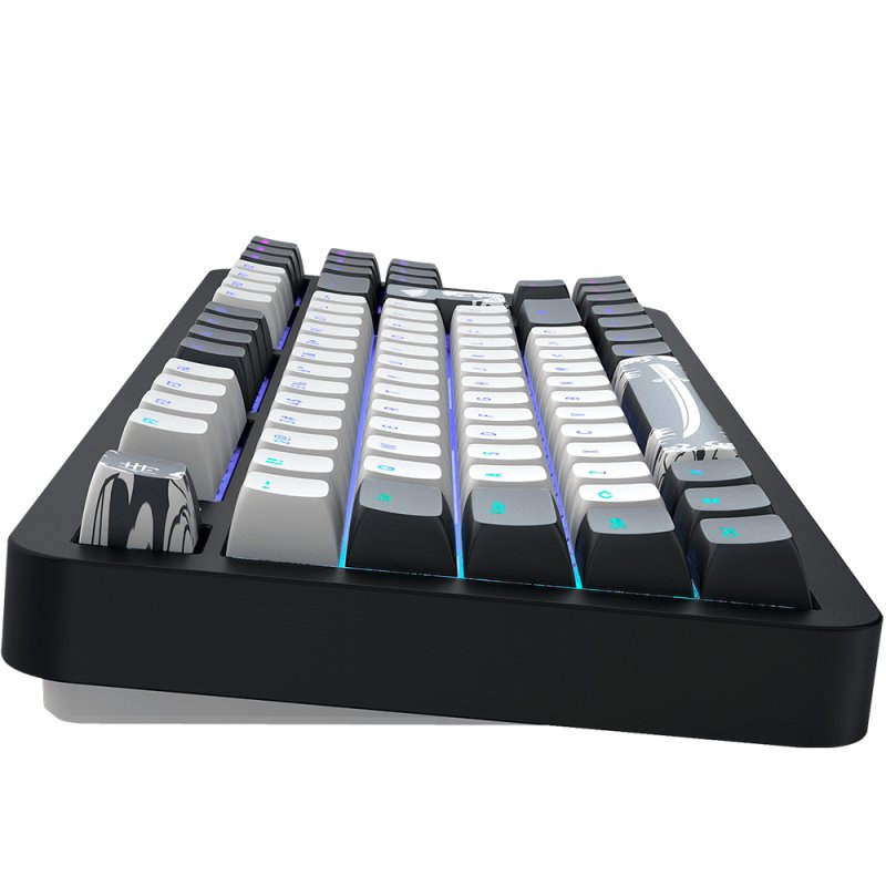 Dark Project DPKB_BUSHIDO_87_ISO clavier Gaming USB QWERTZ Danois, Anglais, Finlandais, Allemand, Nordique, Norvégien,