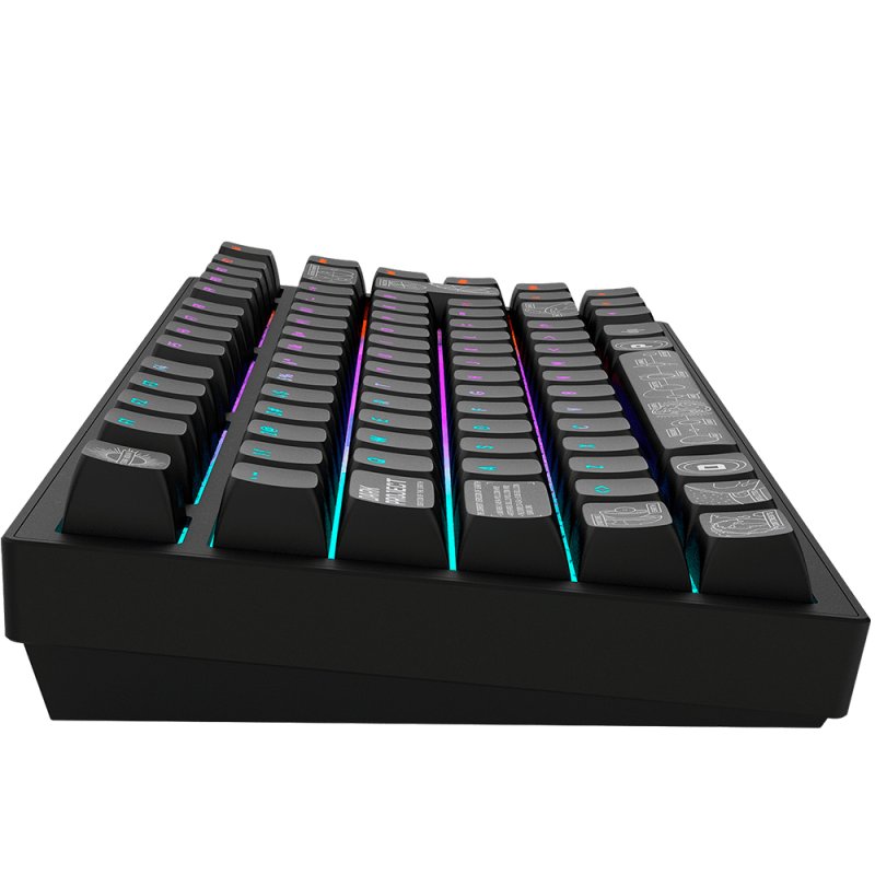 Dark Project - Nova Black 81 RGB Wireless