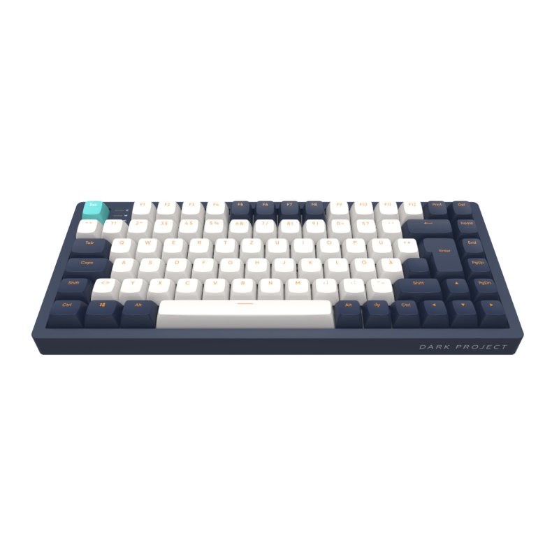 Dark Project - 83 Navy Blue/Ivory - RGB