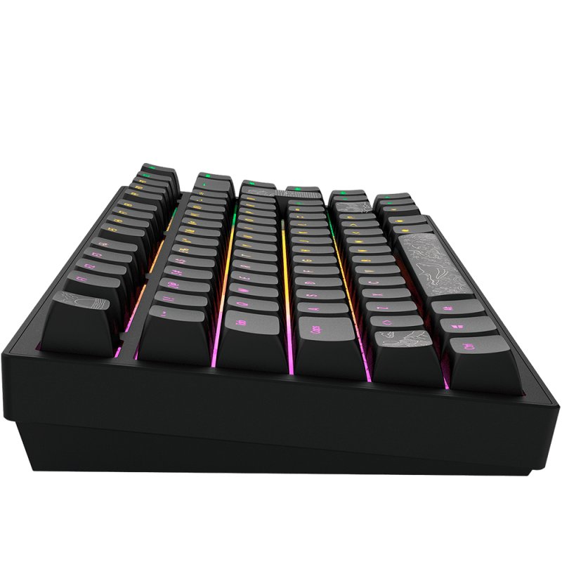 Dark Project - Nostra Black 81 RGB