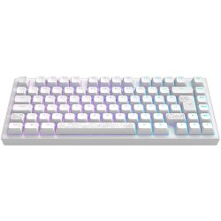 Dark Project DPKB_NOSTRA_81_ISO_WHITE clavier Gaming USB QWERTZ Blanc