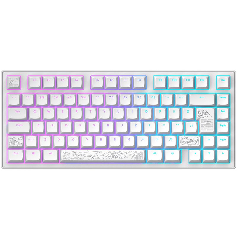 Dark Project - Nostra White 81 RGB