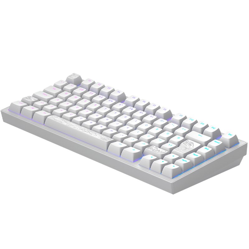 Dark Project - Nostra White 81 RGB