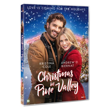 Christmas In Pine Valley