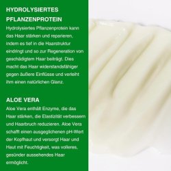 Pomloco Light Conditioner with Matcha and Aloe Vera for Soft Shiny Hair