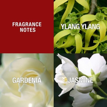 Design by Paul Sebastian for Women Eau De Parfum Spray 3.4-Ounce