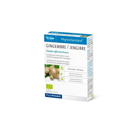 Pileje Pileje Phytoprevent Phytostandard Ginger 20 Capsules