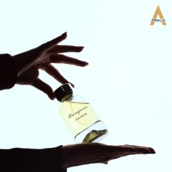 Amazonas Avalanche Arab Perfume for Men - Luxury Arab Fragrance