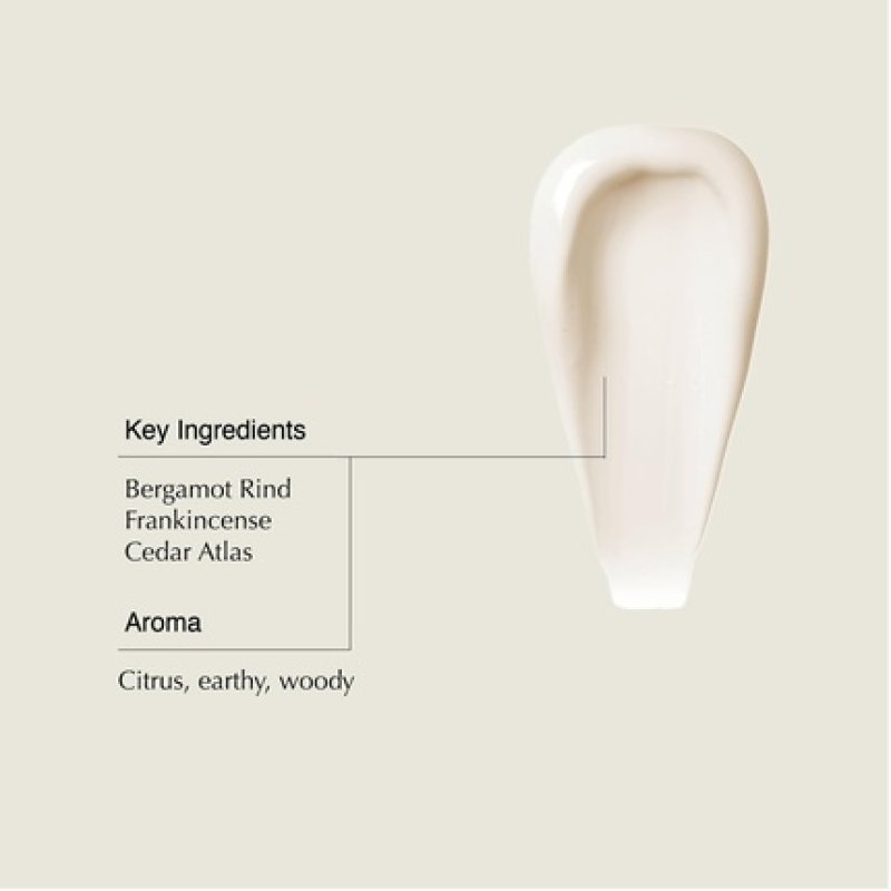 Aesop Conditioner Soften and Hydrate All Hair Types Nourishing Formula