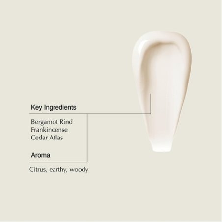 Aesop Conditioner Soften and Hydrate All Hair Types Nourishing Formula