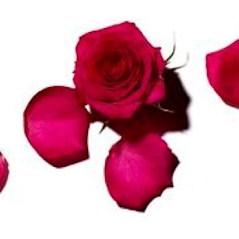 Benamôr Rose Amélie Perfumed Soap with Shea Butter and Coconut Oil 100g