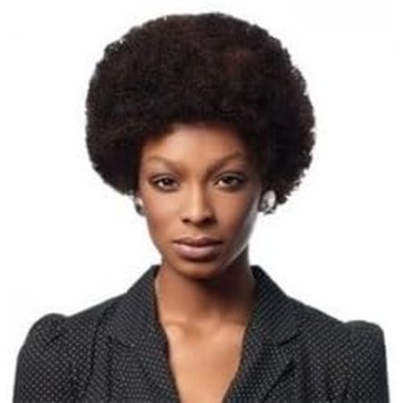Natural Hair Afro Wig Fashion