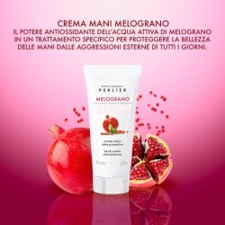 Perlier Pomegranate Hand Cream Ultra Protective 100ml