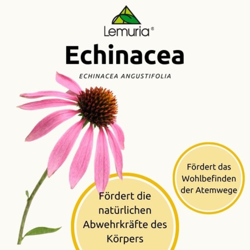 Lemuria Echinacea - Promotes Natural Defenses