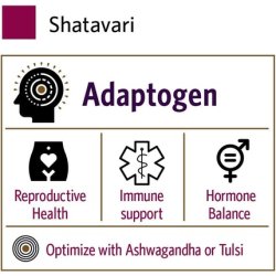 Organic India Shatavari Herbal Supplement Supports Hormonal Balance Immune and Inflammatory Response 90 Capsules