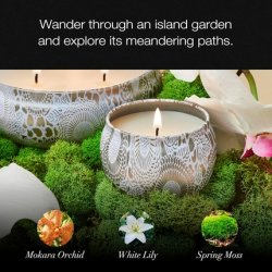 Voluspa Mokara Mini Tin Candle 4 Ounce 25 Hour Burn Time Coconut Wax