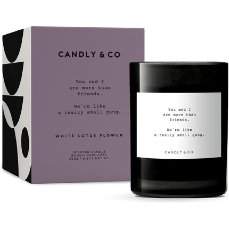 Candly&Co No 8 You And I Are More Than Friends Luxury Scented Candle 100
