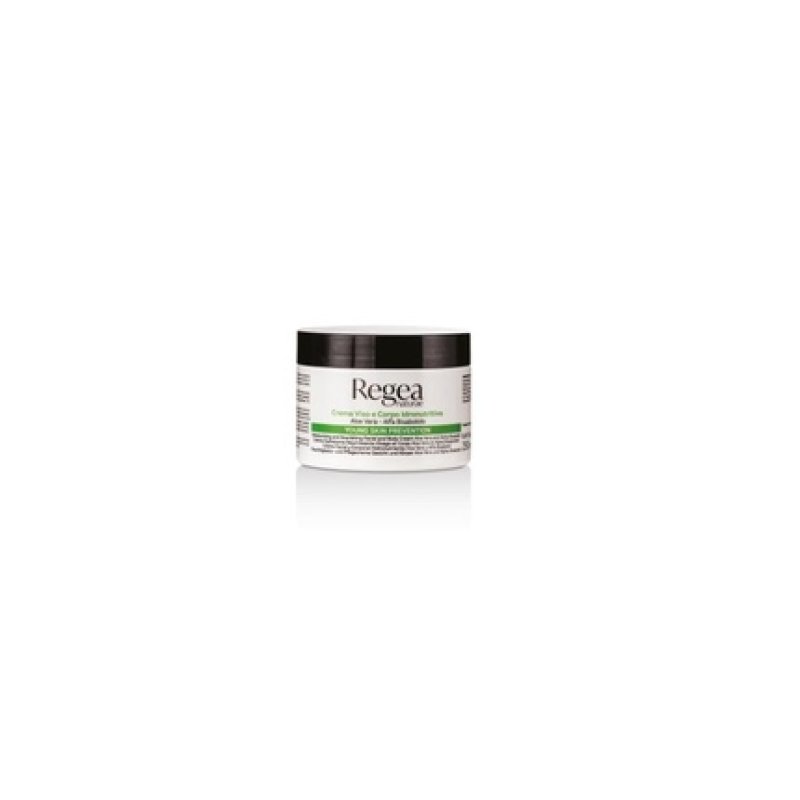 Xanitaliapro Regea Moisturizing Cream For Face And Body With Aloe Vera And Alphabisabolol 250 Ml
