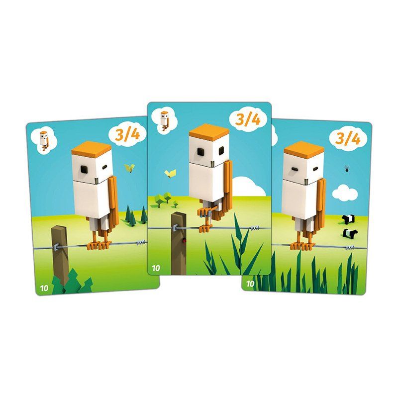 Board Game Circus CuBirds 20 min Card Game
