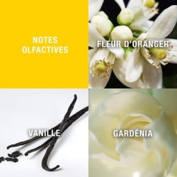 Giorgio Beverly Hills 90ml Set