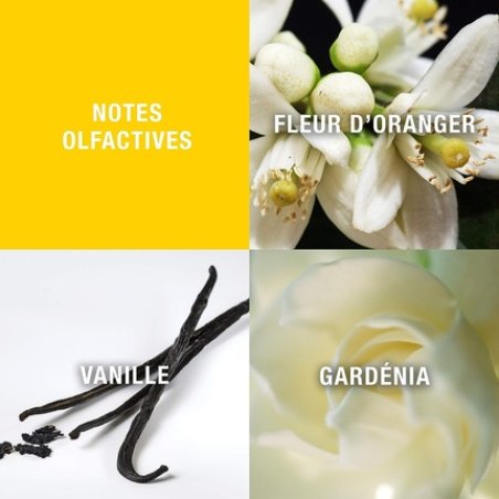 Giorgio Beverly Hills 90ml Set