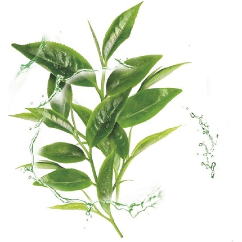 Garnier Moisture Bomb Green Tea and Hyaluronic Acid Sheet Mask 28g