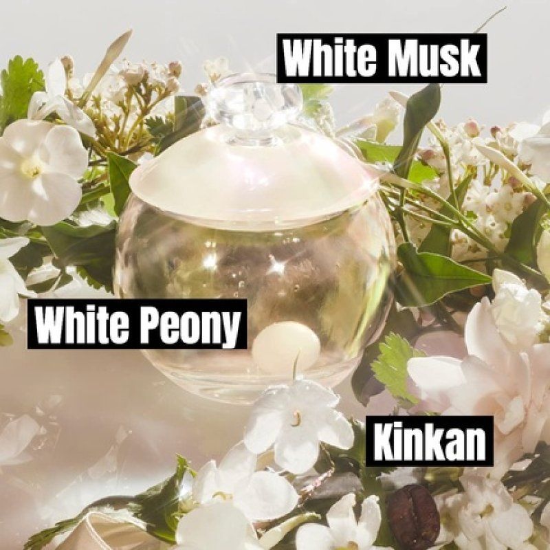 Cacharel Noa 3-Piece Gift Set - 1 Eau De Parfum Spray for Women 3.4oz 2 Body Lotion 1.7oz