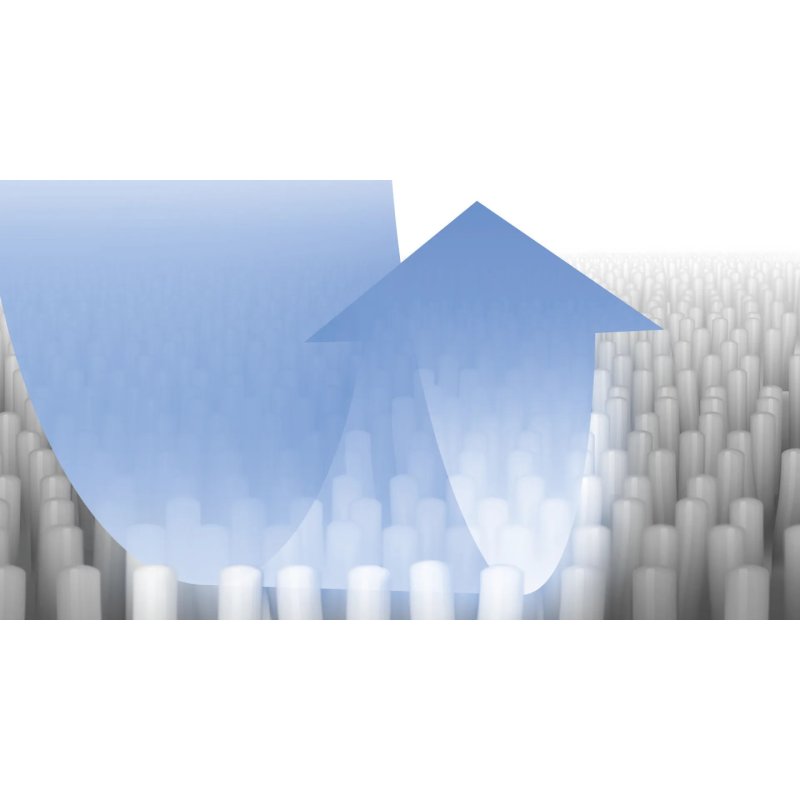 Bosch BBZWDSET Accessoire et fourniture pour aspirateur Solution de nettoyage Aspirateur réservoir cylindrique